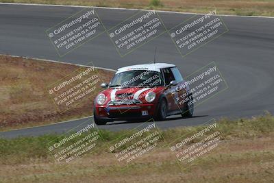 media/May-04-2024-Lucky Dog Racing (Sat) [[d39539b3f3]]/Race Pics/1015am (Turn 2)/